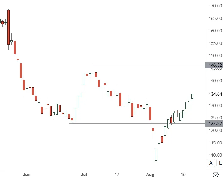 SNOW-–-Daily-Chart